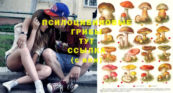 mix Абаза