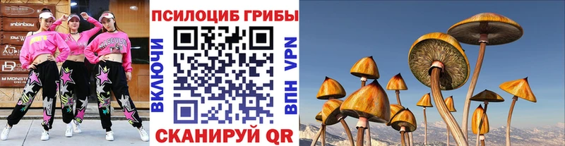 Псилоцибиновые грибы GOLDEN TEACHER  Полтавская 